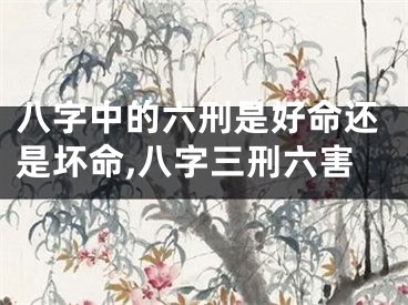 八字中的六刑是好命还是坏命,八字三刑六害