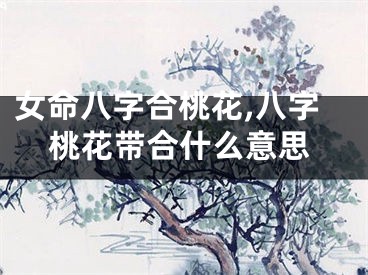 女命八字合桃花,八字桃花带合什么意思