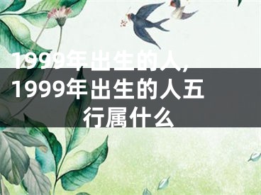 1999年出生的人,1999年出生的人五行属什么