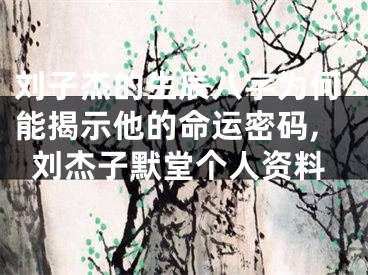 刘子杰的生辰八字为何能揭示他的命运密码,刘杰子默堂个人资料