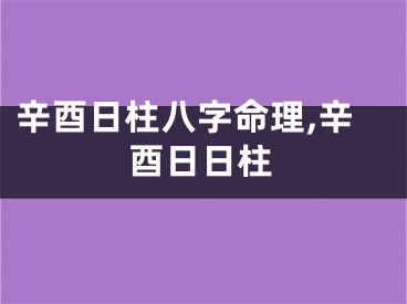 辛酉日柱八字命理,辛酉日日柱