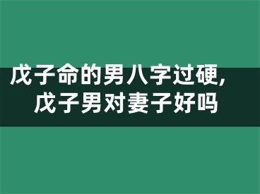 戊子命的男八字过硬,戊子男对妻子好吗