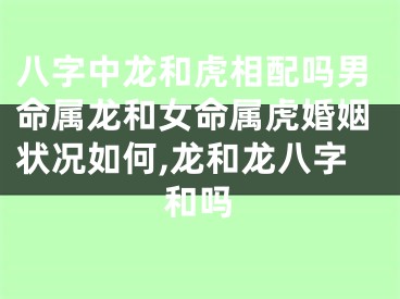 八字中龙和虎相配吗男命属龙和女命属虎婚姻状况如何,龙和龙八字和吗