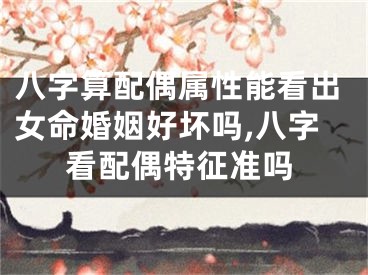 八字算配偶属性能看出女命婚姻好坏吗,八字看配偶特征准吗
