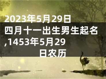2023年5月29日四月十一出生男生起名,1453年5月29日农历