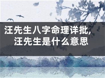 汪先生八字命理详批,汪先生是什么意思