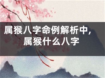 属猴八字命例解析中,属猴什么八字