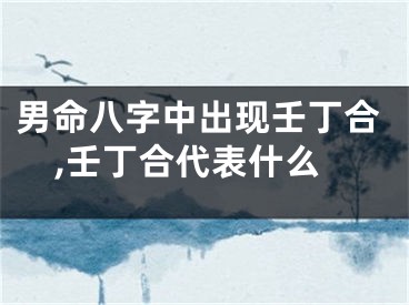 男命八字中出现壬丁合,壬丁合代表什么