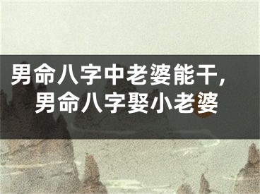 男命八字中老婆能干,男命八字娶小老婆