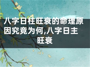 八字日柱旺衰的命理原因究竟为何,八字日主旺衰