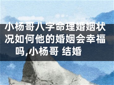 小杨哥八字命理婚姻状况如何他的婚姻会幸福吗,小杨哥 结婚