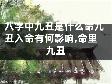八字中九丑是什么命九丑入命有何影响,命里九丑