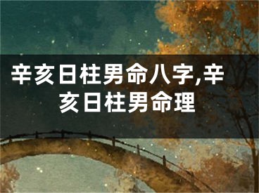 辛亥日柱男命八字,辛亥日柱男命理
