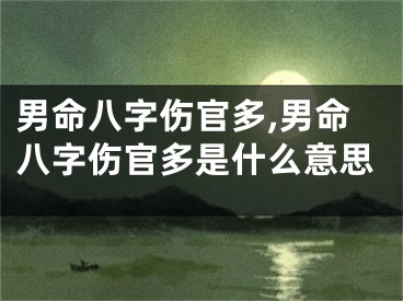 男命八字伤官多,男命八字伤官多是什么意思