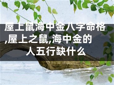 屋上鼠海中金八字命格,屋上之鼠,海中金的人五行缺什么