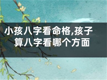 小孩八字看命格,孩子算八字看哪个方面
