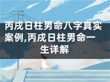 丙戌日柱男命八字真实案例,丙戌日柱男命一生详解