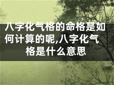八字化气格的命格是如何计算的呢,八字化气格是什么意思