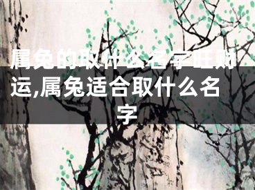 属兔的取什么名字旺财运,属兔适合取什么名字
