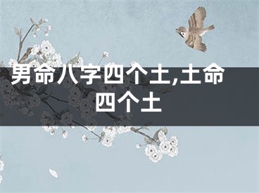 男命八字四个土,土命四个土