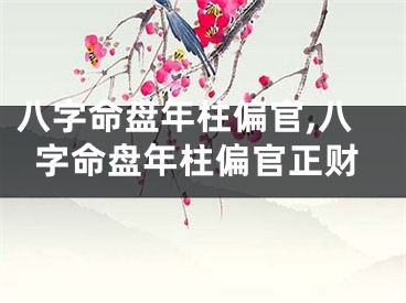 八字命盘年柱偏官,八字命盘年柱偏官正财