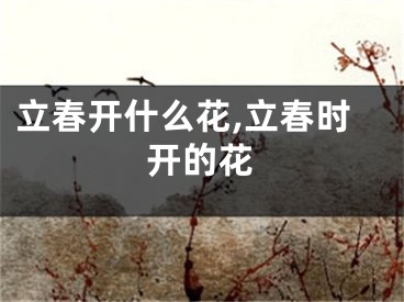 立春开什么花,立春时开的花