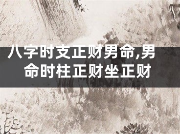 八字时支正财男命,男命时柱正财坐正财