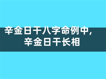辛金日干八字命例中,辛金日干长相