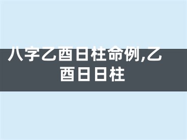 八字乙酉日柱命例,乙酉日日柱