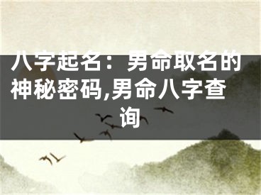 八字起名：男命取名的神秘密码,男命八字查询