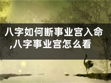 八字如何断事业宫入命,八字事业宫怎么看