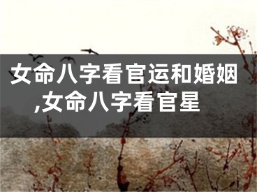 女命八字看官运和婚姻,女命八字看官星