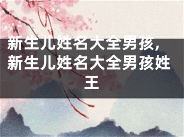 新生儿姓名大全男孩,新生儿姓名大全男孩姓王