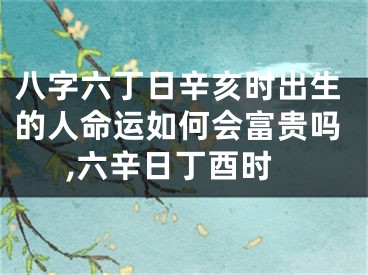 八字六丁日辛亥时出生的人命运如何会富贵吗,六辛日丁酉时