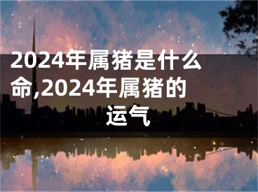 2024年属猪是什么命,2024年属猪的运气