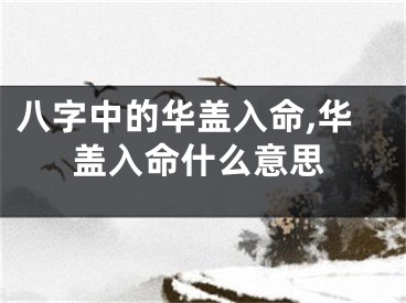 八字中的华盖入命,华盖入命什么意思