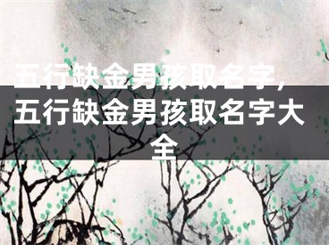 五行缺金男孩取名字,五行缺金男孩取名字大全