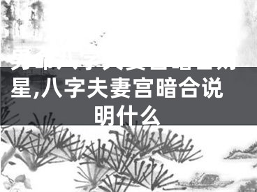 男命八字夫妻宫暗合财星,八字夫妻宫暗合说明什么