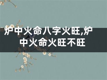 炉中火命八字火旺,炉中火命火旺不旺