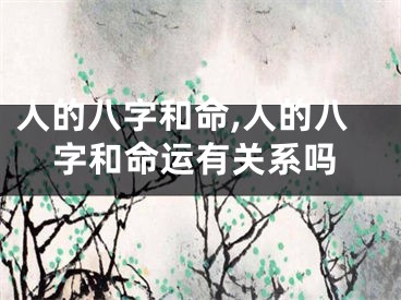 人的八字和命,人的八字和命运有关系吗