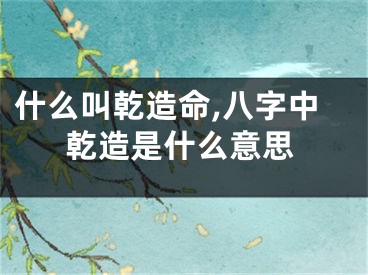 什么叫乾造命,八字中乾造是什么意思