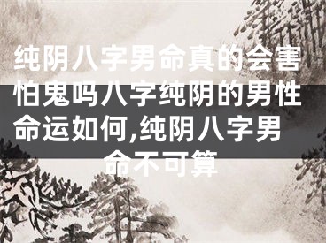 纯阴八字男命真的会害怕鬼吗八字纯阴的男性命运如何,纯阴八字男命不可算