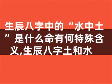 生辰八字中的“水中土”是什么命有何特殊含义,生辰八字土和水